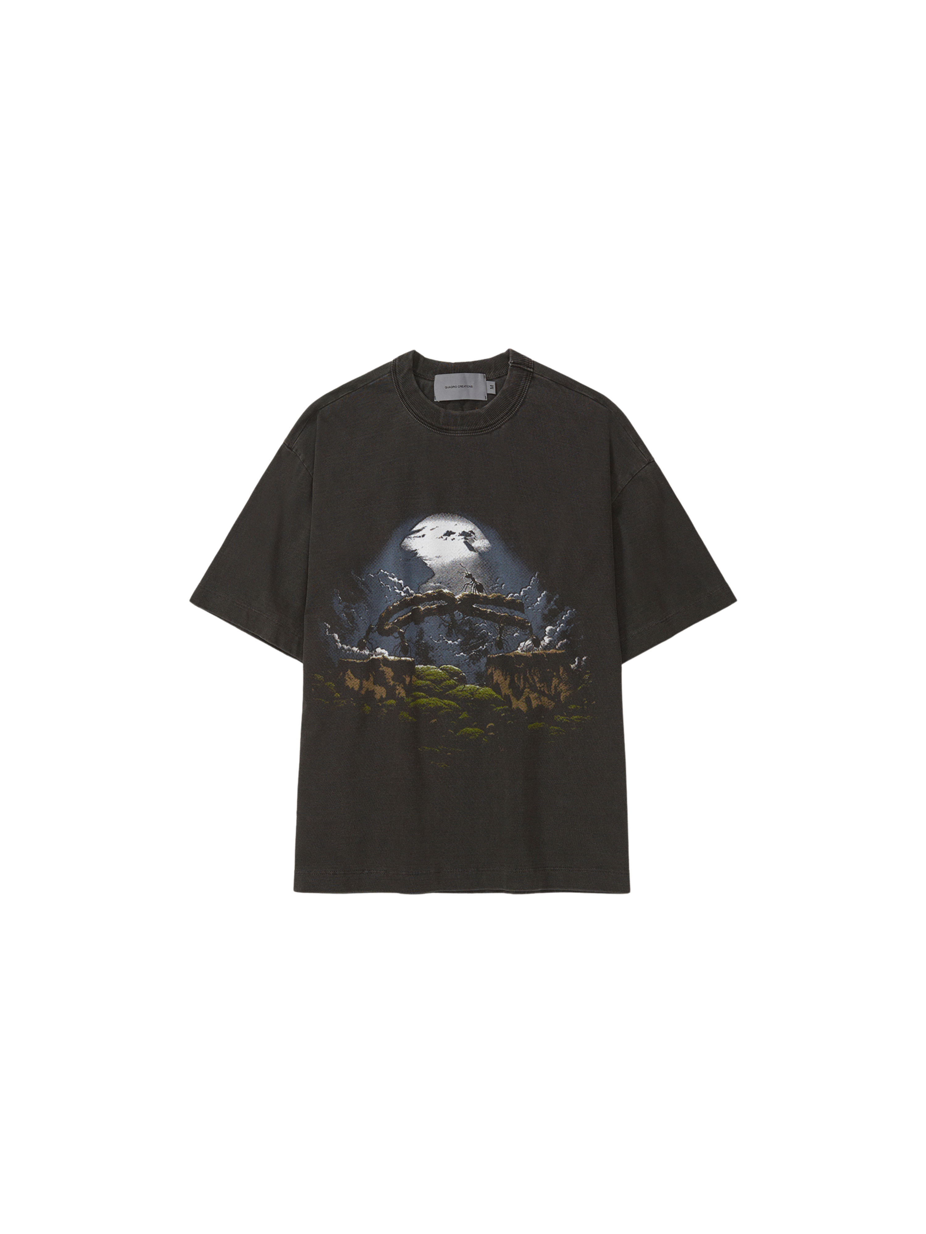 Camiseta Formigas Boxy "Stoned Preto"